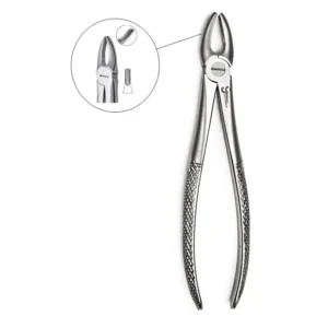 Buy High-Quality Dental Forceps for Extractions -SurgiWorld
